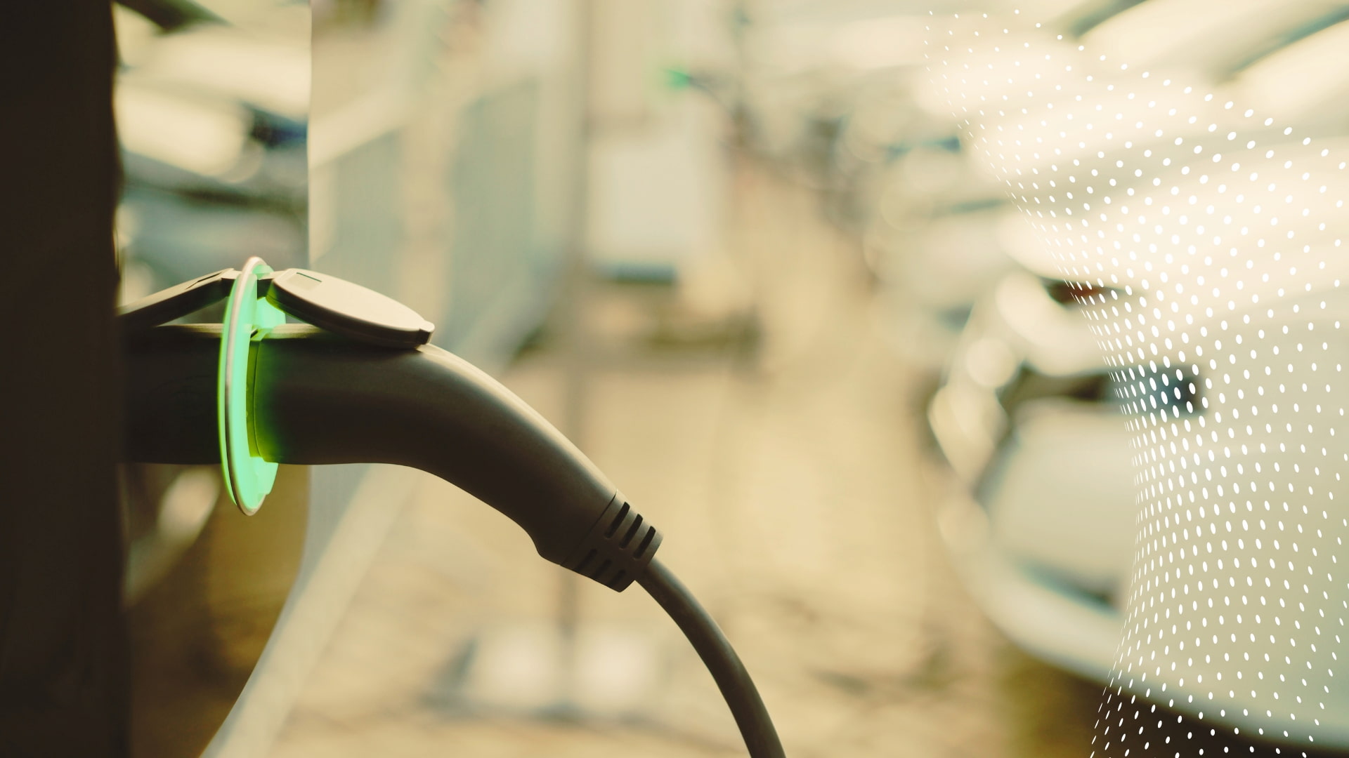 Elektromobilität Führungsprogramm