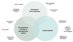 Organisation unter der Lupe