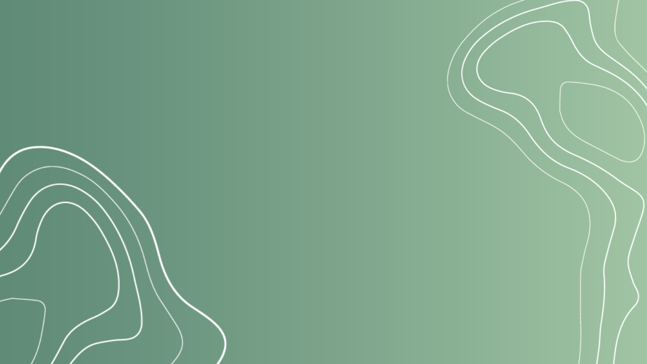 Wie Performance Management zum kulturellen Hebel wird